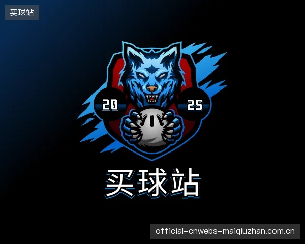 关于买球站公司